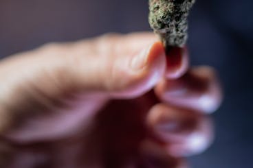 Cannabis Product